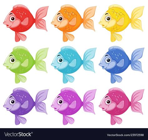 魚的顏色